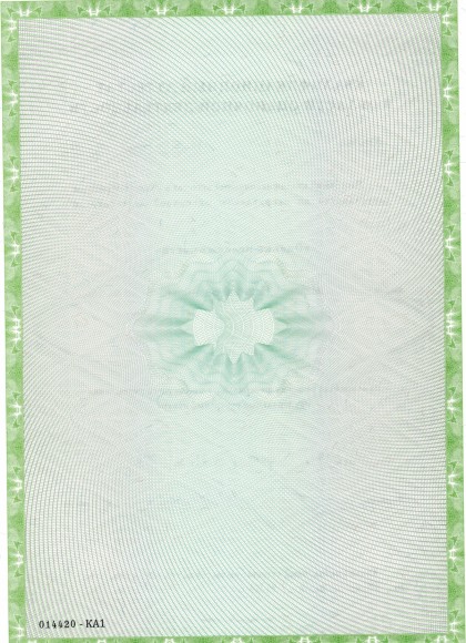 квал Мезина НВ (1)_page-0002.jpg